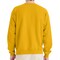 Hanes EcoSmart Unisex Crewneck Sweatshirt P160 Cotton-Poly Blend Fleece for Crafts